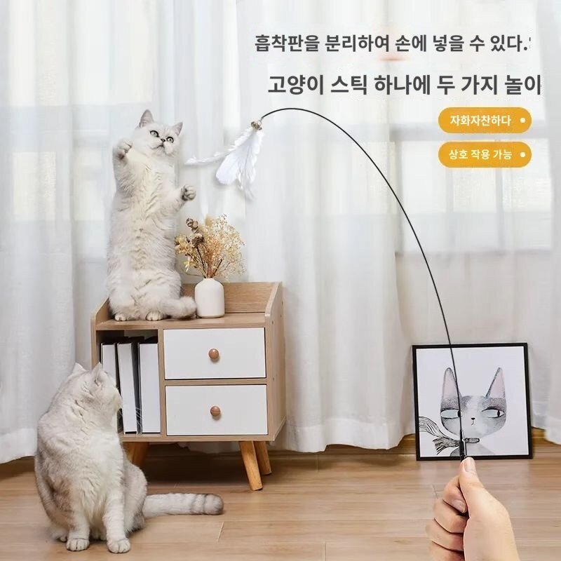 산책줄 고양이하네스 목줄 산책냥 산책냥이 고양이전용하네스 가슴줄, 화이트+리필헤드*4, 1개