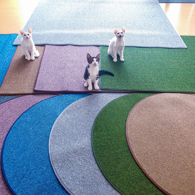 펫스트샵 고양이 평판형 스크래쳐 원형 대형 80cm, 1개, 브라운 사각형 중형 (40cm*60cm)