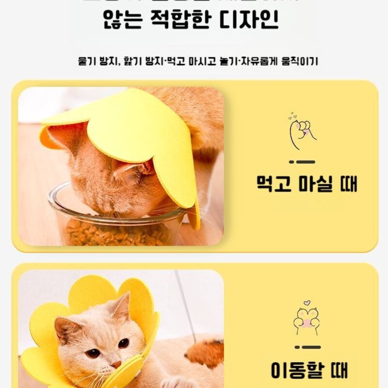 고양이넥카라 보호대 깔때기 핥음방지 방수상처보호 넥쿠션 애견 반려동물, 해바라기 엘리자베스 -색상랜덤, 1개