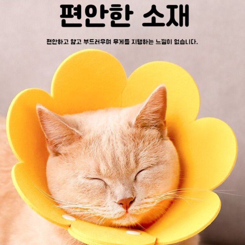 고양이넥카라 보호대 깔때기 핥음방지 방수상처보호 넥쿠션 애견 반려동물, 해바라기 엘리자베스 -색상랜덤, 1개