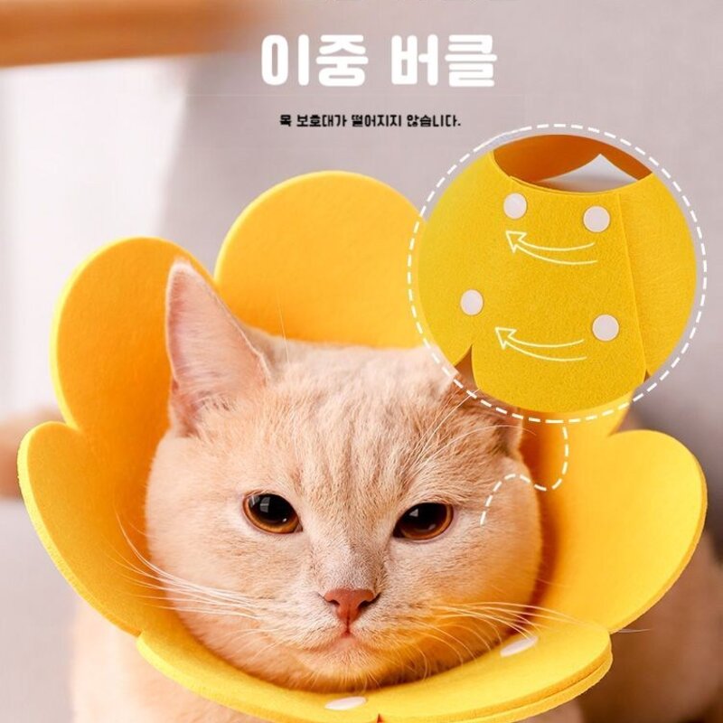 고양이넥카라 보호대 깔때기 핥음방지 방수상처보호 넥쿠션 애견 반려동물, 해바라기 엘리자베스 -색상랜덤, 1개