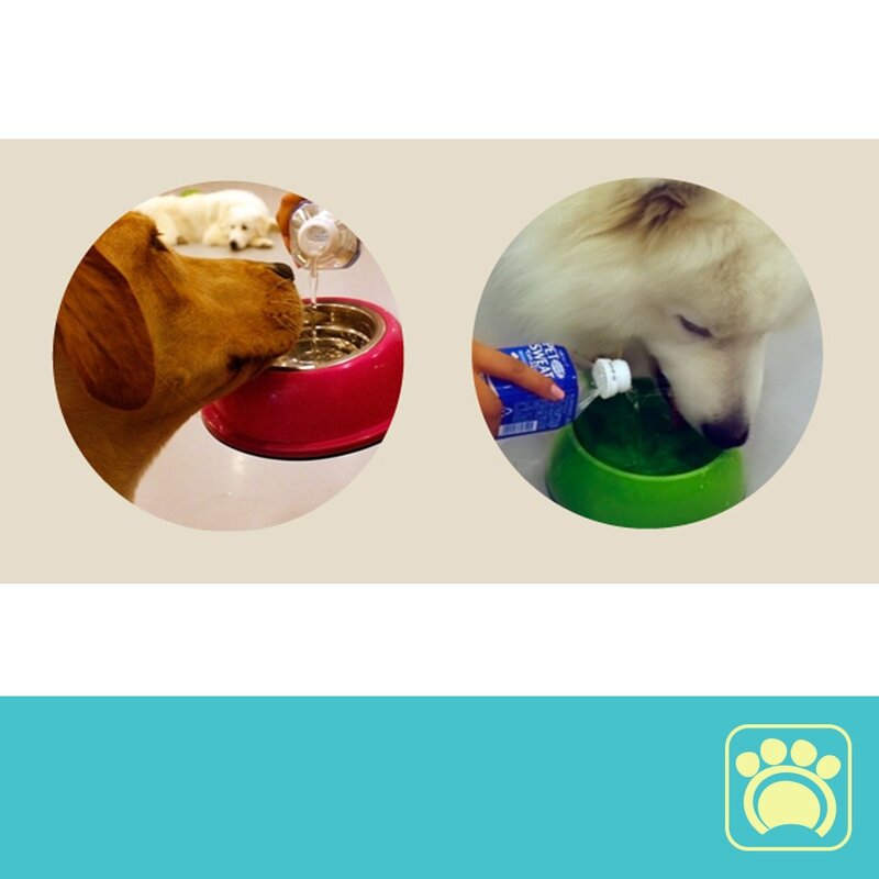 강아지 고양이 음료수 펫 전용 이온음료 음수량 늘리기, 2팩, 500ml