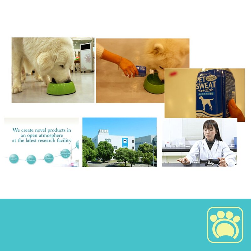 강아지 고양이 음료수 펫 전용 이온음료 음수량 늘리기, 2팩, 500ml