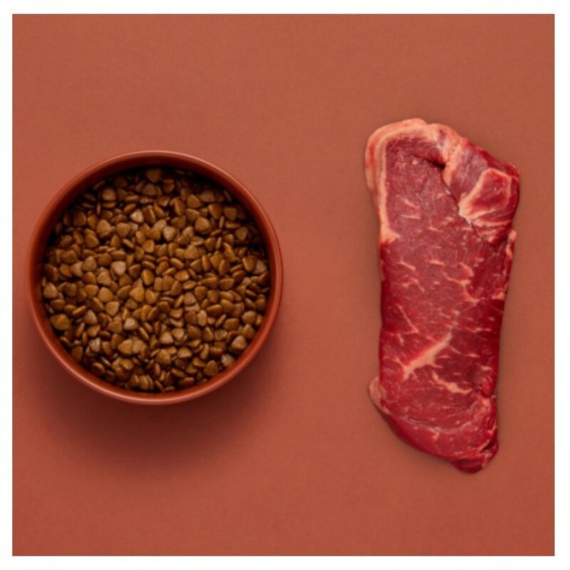 유한양행 레시피브이 세븐제로 S 강아지 사료 연어 2.1kg 1개