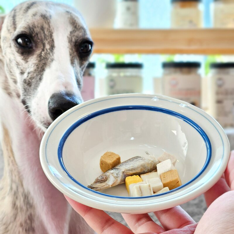 펫티즈 동결건조 큐브 트릿, 80g, 1개, 북어