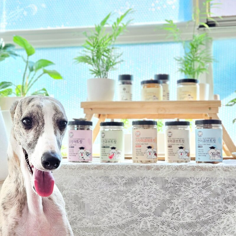 펫티즈 동결건조 큐브 트릿, 80g, 1개, 북어