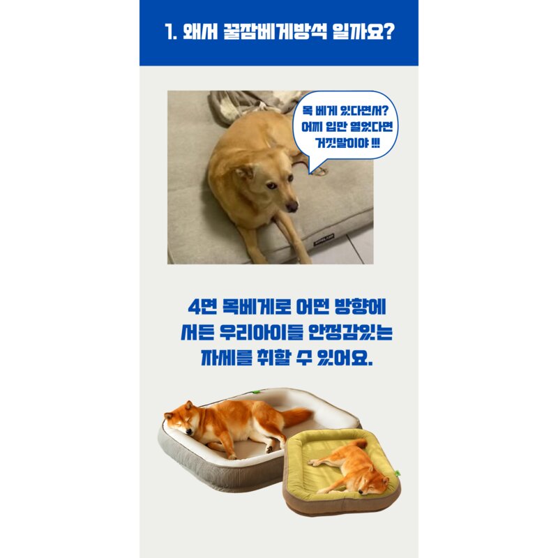 런레이더 미끄러움방지 반려동물 꿀잠 방석, 1개, 브라운