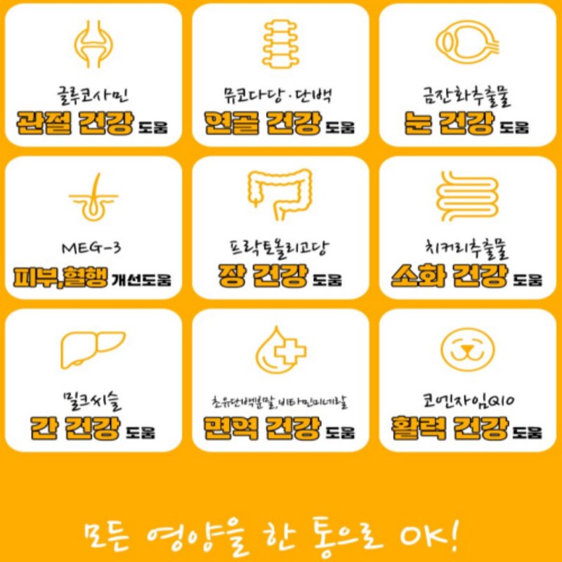 펫생각 데일리케얼 반려동물 강아지 올인원 멀티 비타민 눈 관절 면역 소화 종합 영양제, 1개