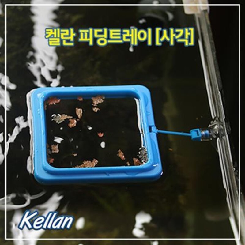켈란 피딩트레이 먹이급여 부표기 [사각형]
