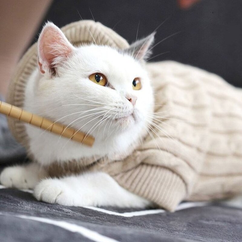 펫데일리 반려동물 모던 데일리 후드 니트 그레이 L 1개