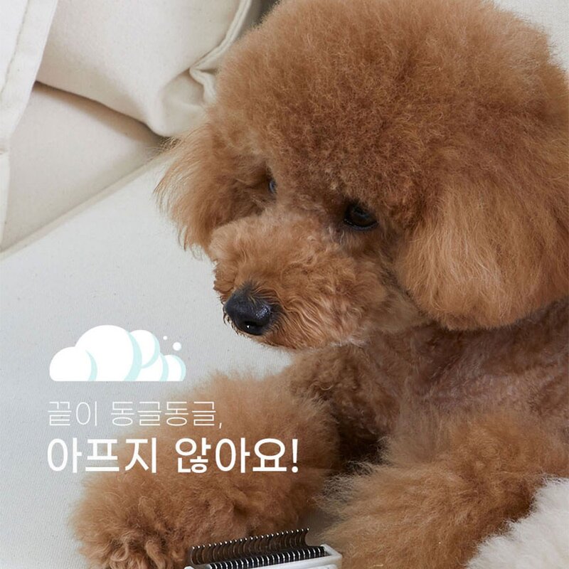 반려동물 강아지 고양이 비숑 푸들 멍냥빗 모찌빗 털 관리 브러쉬 추천, 1개