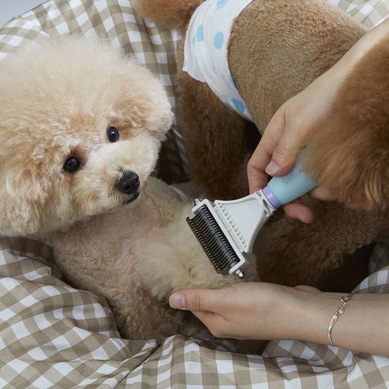 반려동물 강아지 고양이 비숑 푸들 멍냥빗 모찌빗 털 관리 브러쉬 추천, 1개