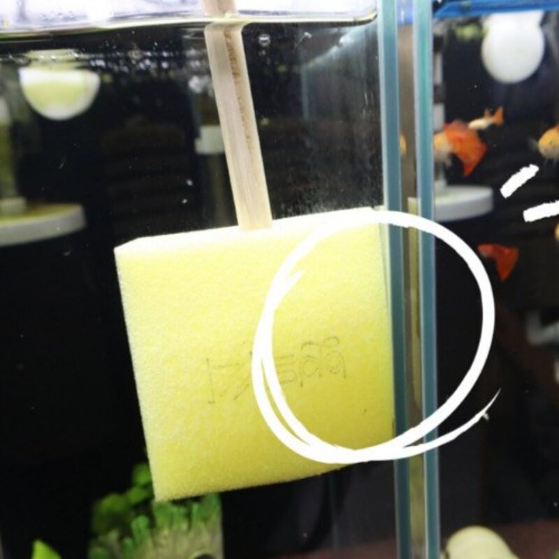 어항청소 유리닦이 실리콘 모서리틈새 물때 뽀득싹 오동나무 막대형 30cm, 2개