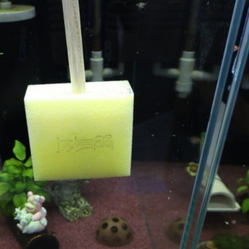 어항청소 유리닦이 실리콘 모서리틈새 물때 뽀득싹 오동나무 막대형 30cm, 2개