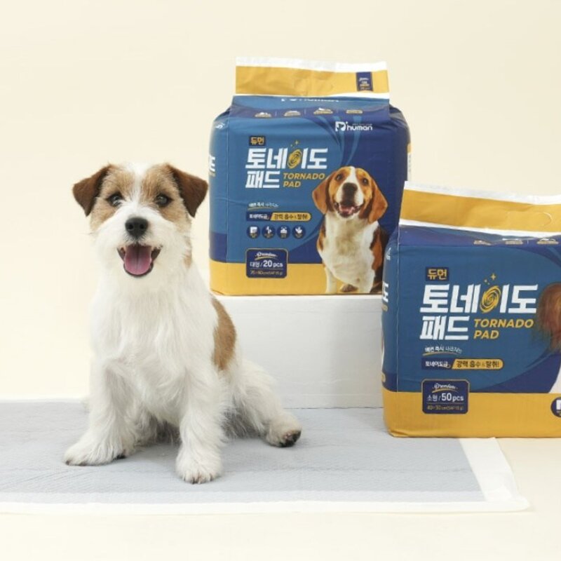 듀먼 토네이도 반려동물 배변 패드 SAP 15g 20매 대형 20개입 1개