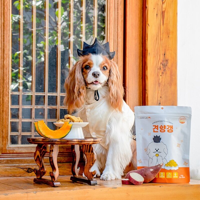 리스펫랩 강아지 노령견 간식 견양갱 7g x 30p, 210g, 면역력 유지, 2개