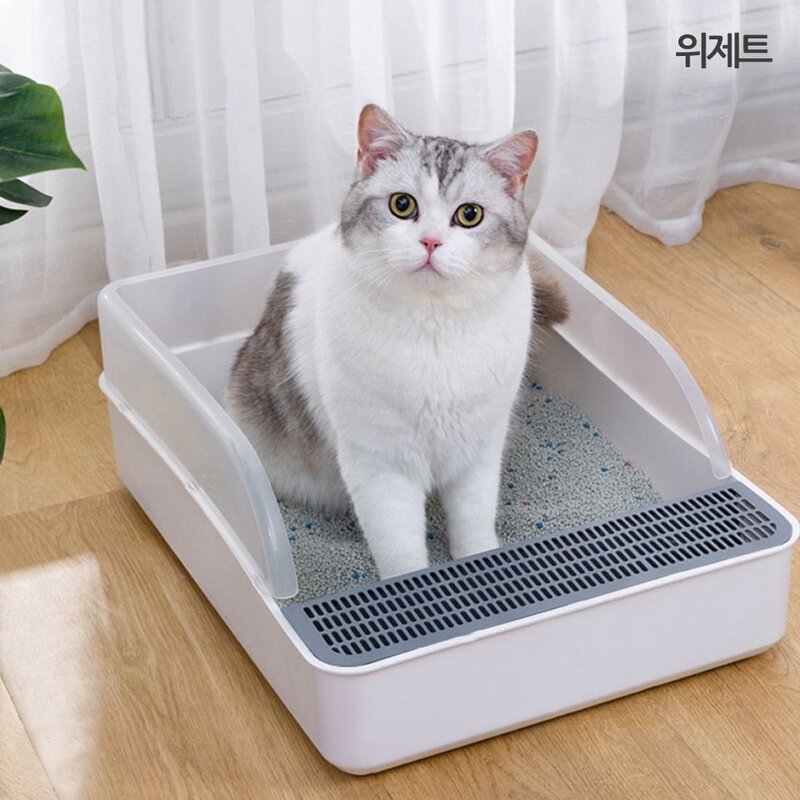 펫느 아기 새끼 고양이 화장실 소형 대형 S 1개