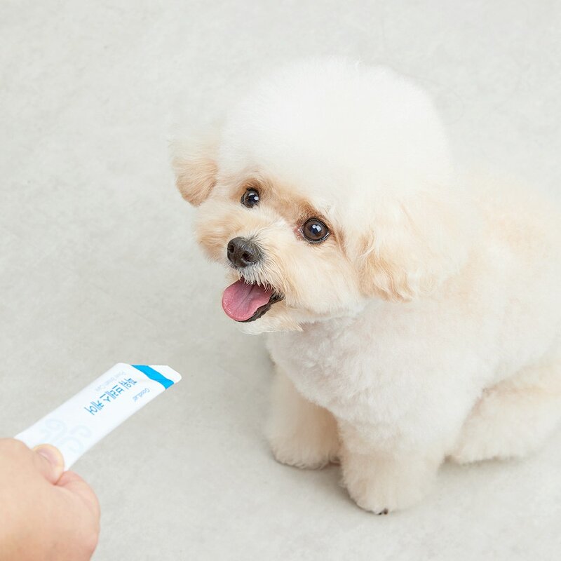 펫펫펫 강아지 기관지 영양제 협착증 기침 호흡기 보조제 약 사료 굿랩 3개