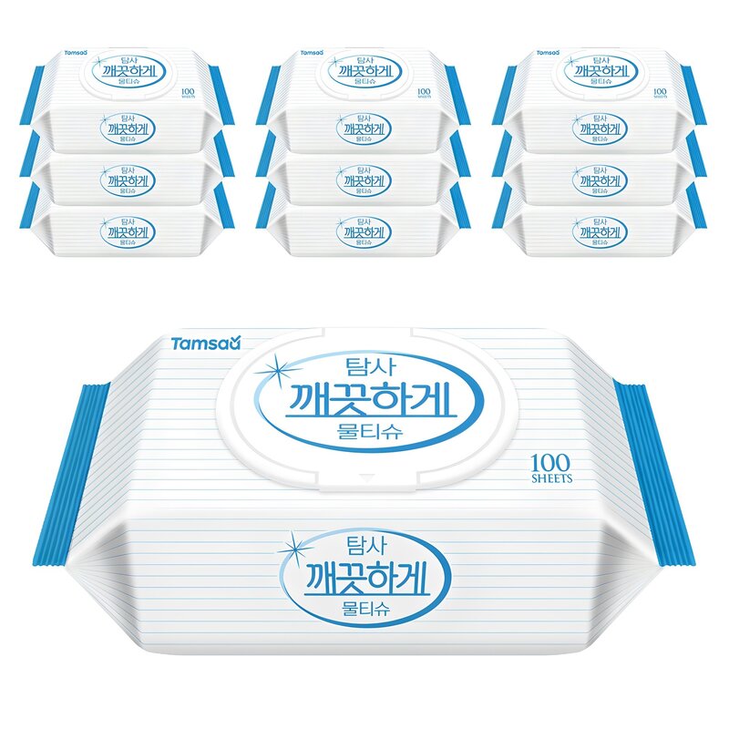 탐사 깨끗하게 물티슈, 100개입, 10개