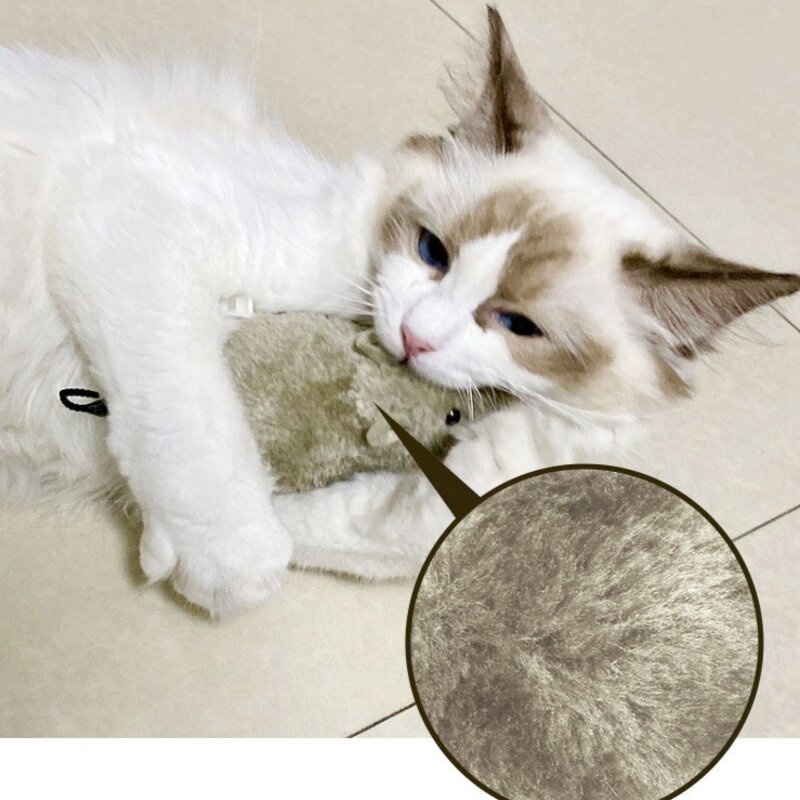 티티펫 고양이 움직이는 태엽쥐 장난감, 혼합색상, 3개