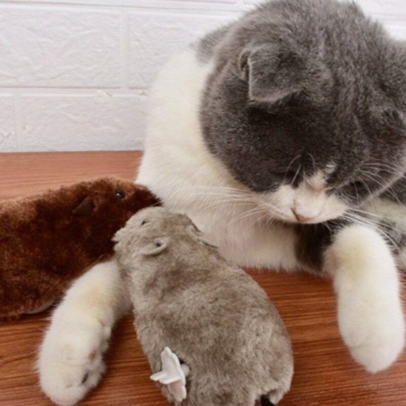 티티펫 고양이 움직이는 태엽쥐 장난감, 혼합색상, 3개