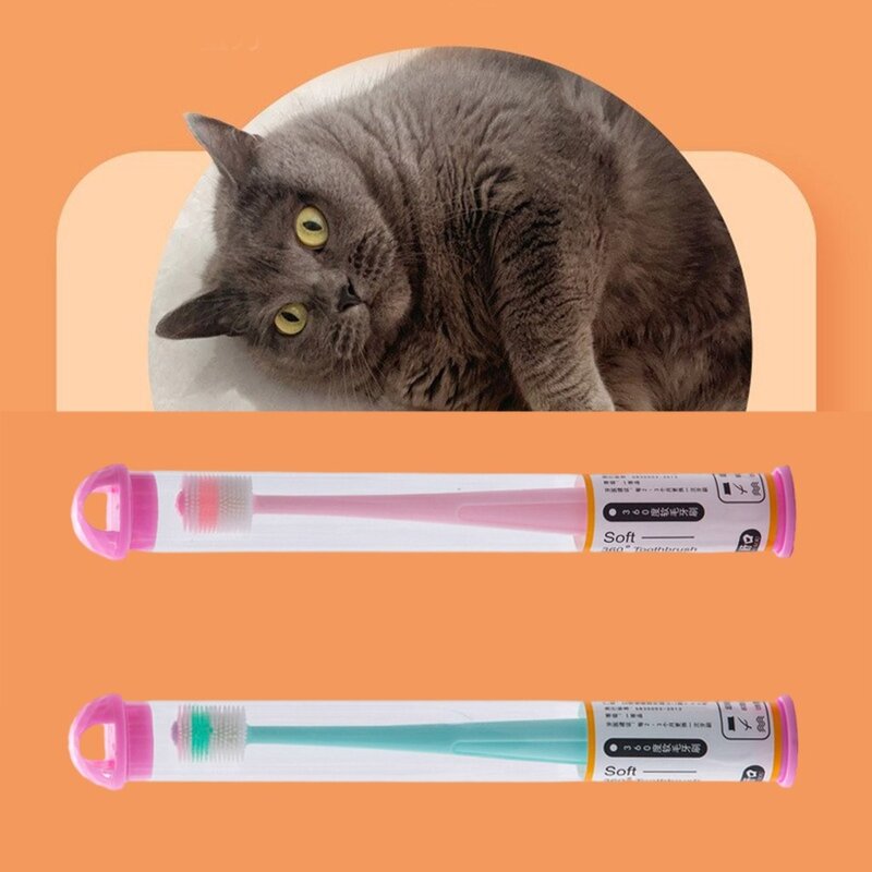 애견 칫솔 반려묘 소프트 칫솔 칫솔 360도 치아 세척 키트, GN, 1개