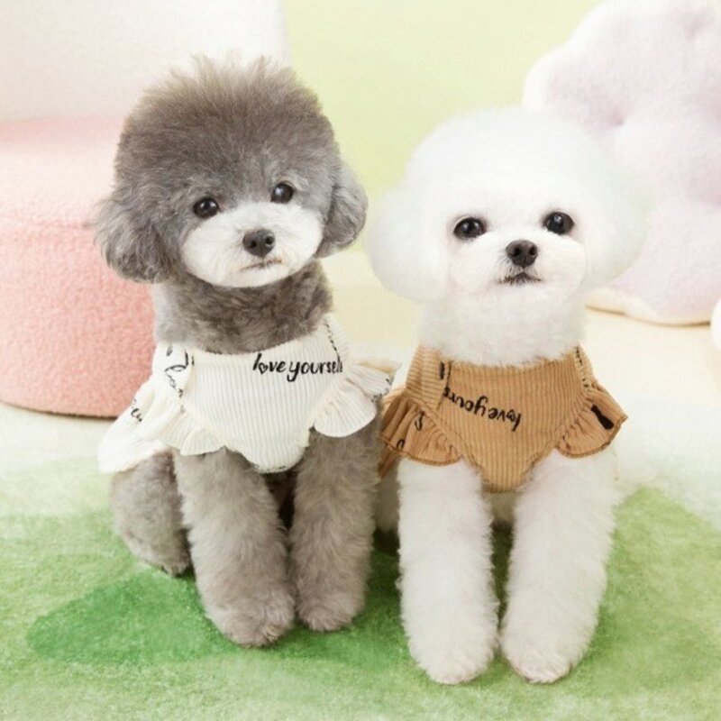 파스텔펫 반려동물 베어 레터링 원피스 아이보리 L 1개