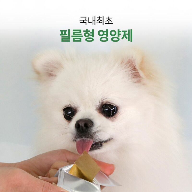 [유통기한 임박상품 25.04.11] 낼름 관절건강 필름 영양제