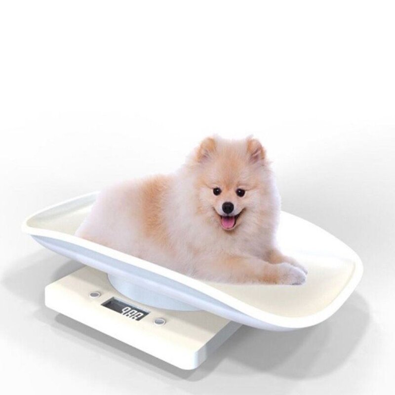 애견 고양이 강아지 저울 체중계 _ 072789EA, 본상품선택, 본상품선택, 본상품선택, 1개