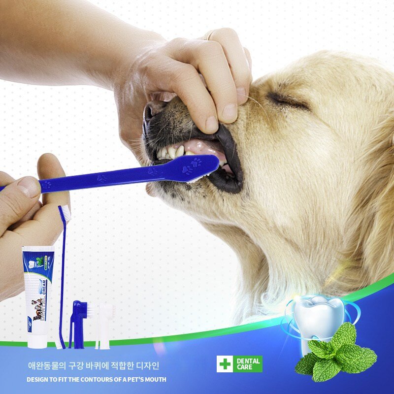비숑 전용 칫솔 세트 실리콘 핑거커버 강아지 칫솔모 구취제거용 소형견, 칫솔(세트), 1개