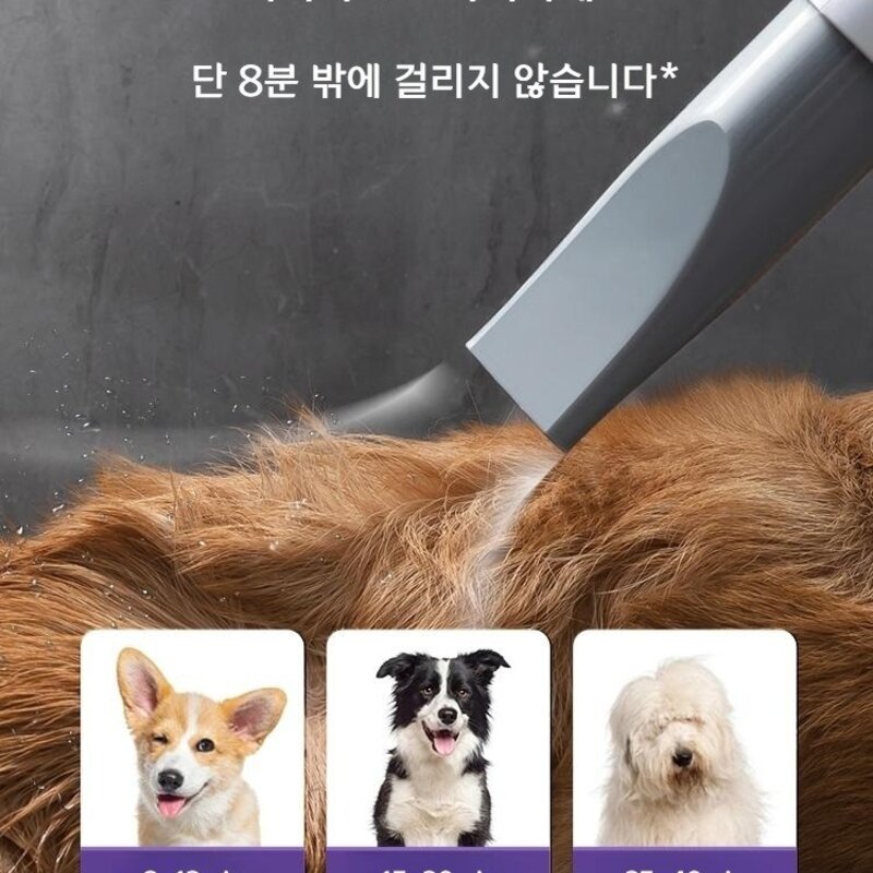 강아지 드라이기 애견 털말리기 드라이어 반려묘 반려동물 털말리는기계 고양이 건조기 펫 용품, C20PRO모델, 1개