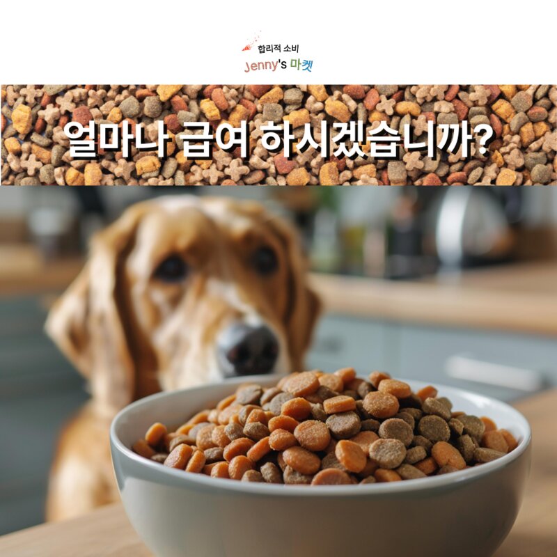 Jennys 마켓 또지의 반려동물 디지털 사료 측정 스푼 저울