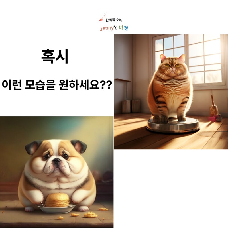 Jennys 마켓 또지의 반려동물 디지털 사료 측정 스푼 저울