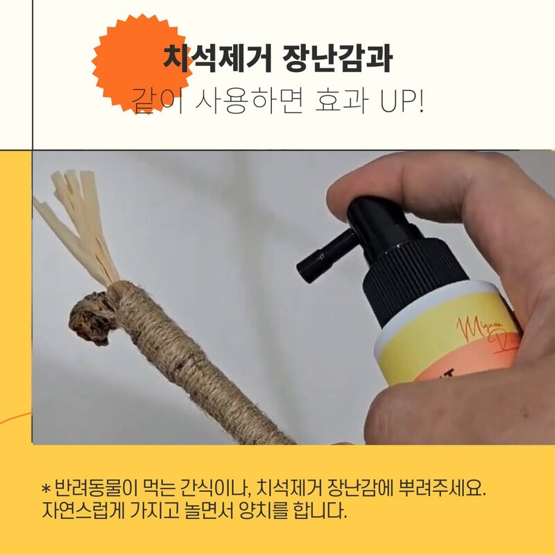 미뇽 덴티 캣 100ml 고양이 뿌리는 치약 구강 스프레이 치석 제거 덴탈 워터 치약