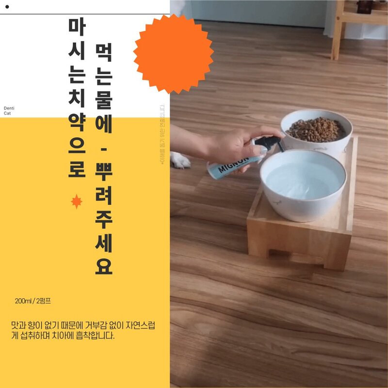 미뇽 덴티 캣 100ml 고양이 뿌리는 치약 구강 스프레이 치석 제거 덴탈 워터 치약