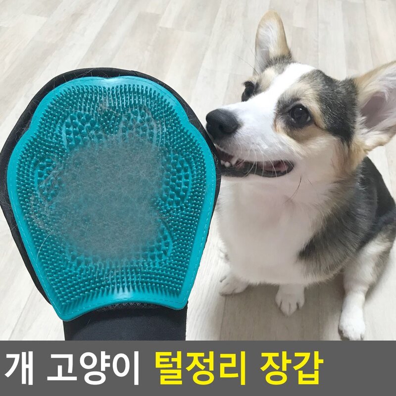 개 고양이 털정리 장갑 강아지털제거 개털청소, 1개
