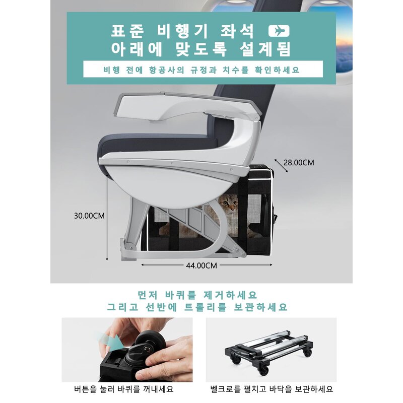 애견 캐리어